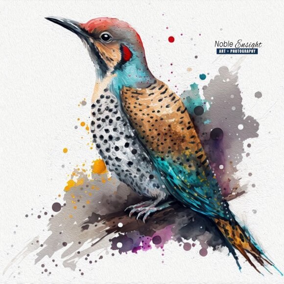 Northern Flicker Watercolor Art Oil Painting Print -‎ Bird Wall Art Decor - Picture 1 of 5